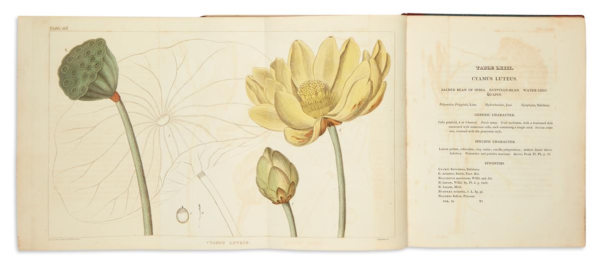 BARTON, WILLAM P.C. A Flora of North America. Illustrated by Coloured Figures, Drawn from Nature.